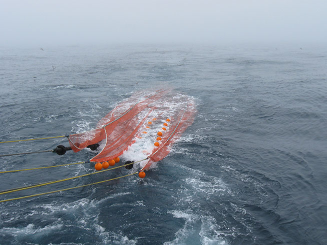 Net in water Yuzhmo cruise